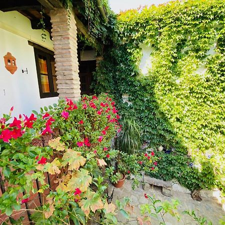 Posada La Casa Grande ฮิเมนา เด ลา ฟรอนเตรา ภายนอก รูปภาพ