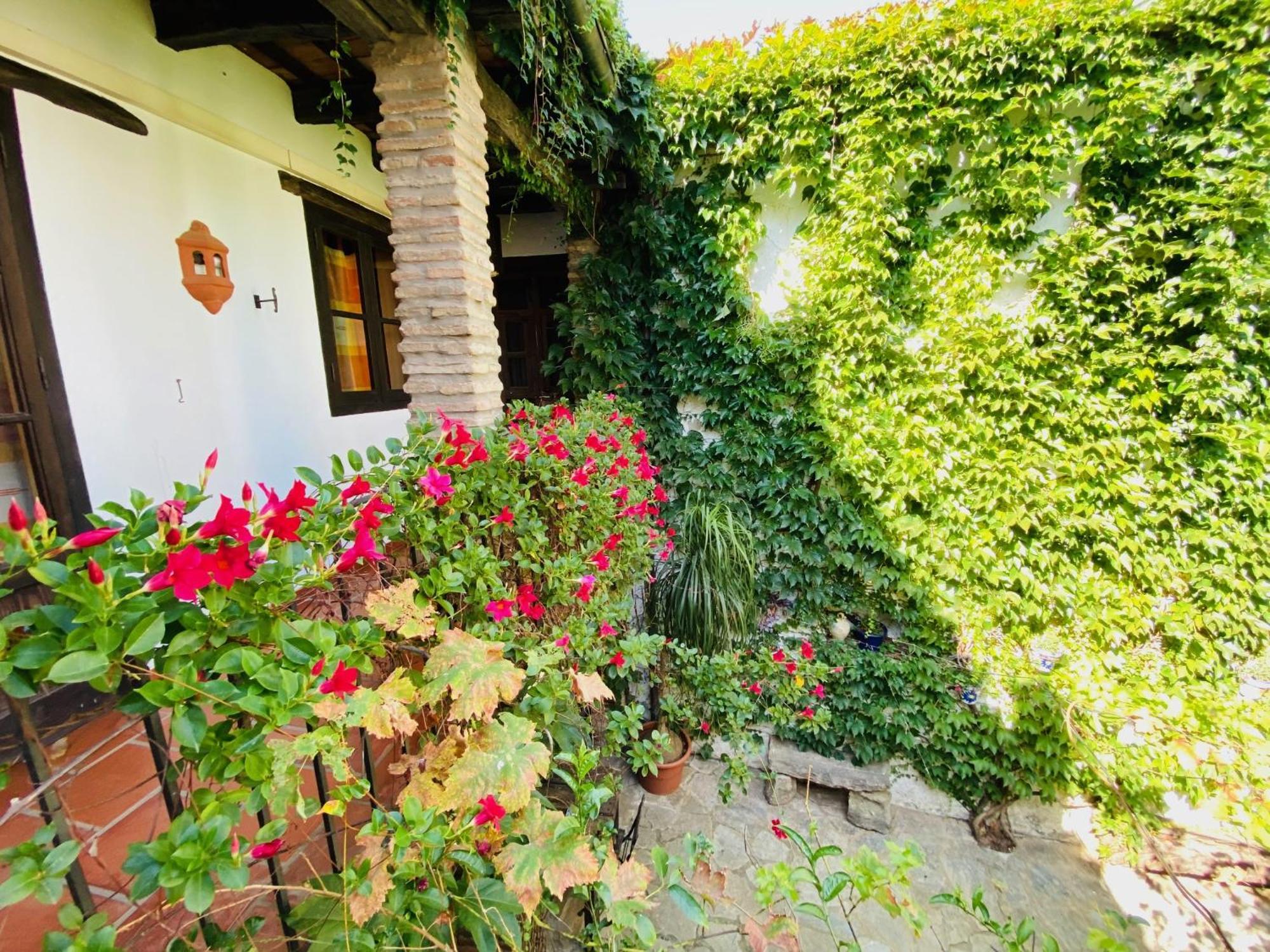 Posada La Casa Grande ฮิเมนา เด ลา ฟรอนเตรา ภายนอก รูปภาพ