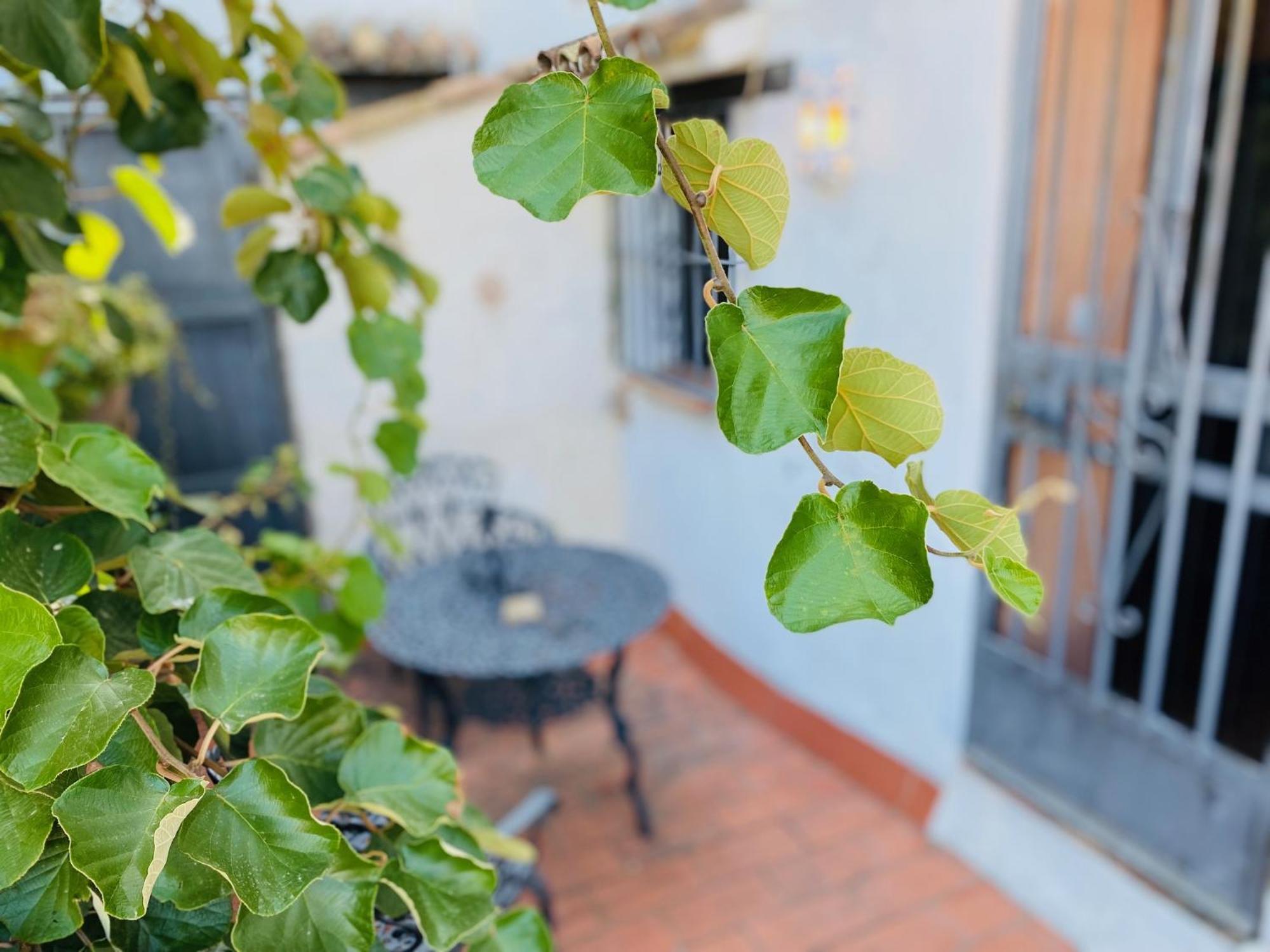 Posada La Casa Grande ฮิเมนา เด ลา ฟรอนเตรา ภายนอก รูปภาพ